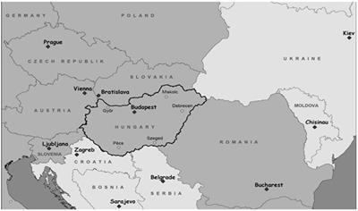 Local economic development strategies in a medium-sized city on the European periphery: a path to become an economic center of Eastern Central Europe importance